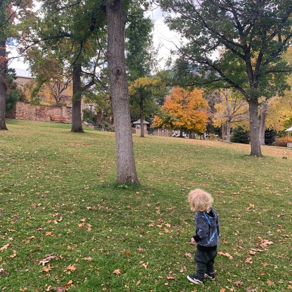 hedgie